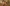 IMAG0555
