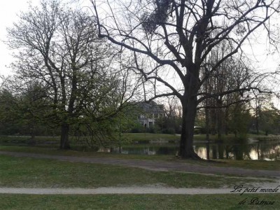 20140330_082351