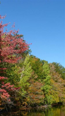 P1060216