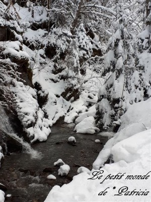 Patricia20201230_161118