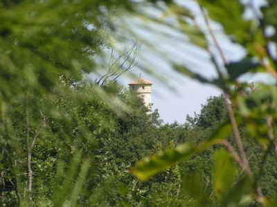 Photo_2009_08_ 298