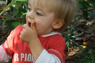 Photo_2009_10_ 041