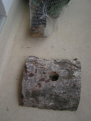 Photo_2009_12_ 042