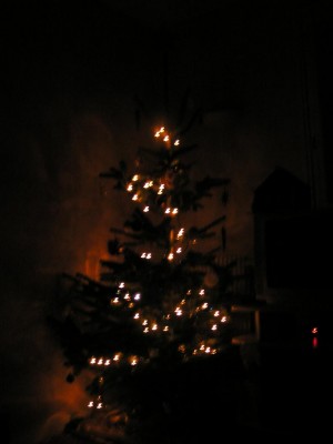 Photo_2009_12_ 049
