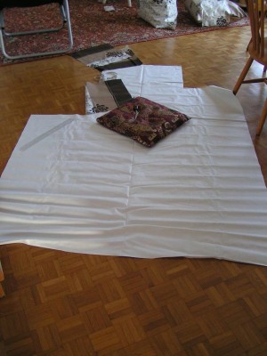 Photo_2010_01_ 063